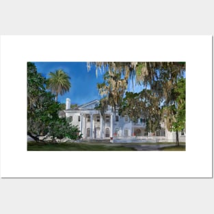 Cumberland Island Posters and Art